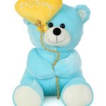 blue teddy winni