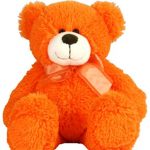 orange teddy winni