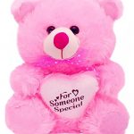 pink teddy winni