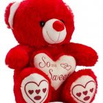 red teddy winni