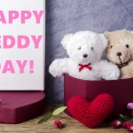 This Teddy Day, Get Different Colors of Teddies for Different Feelings