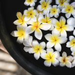 Frangipani flowers at a spa salon