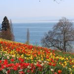 Mainau Island, Germany