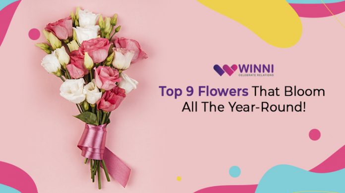 Top 9 Flowers That Bloom All The Year-Round!