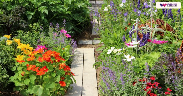 Flowering Plants